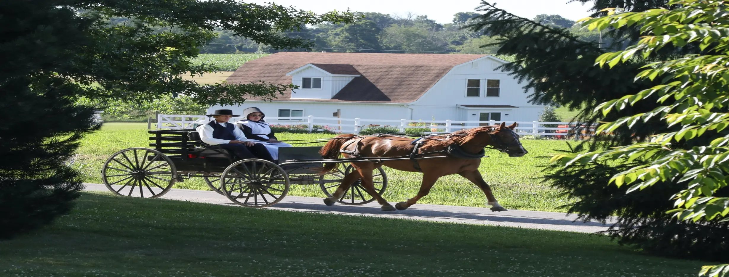 Image for Amish Country